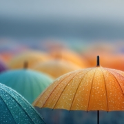 Personal Umbrella Coverage